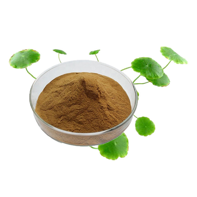 Anti Aging Skin Care Herb Centella Asiatica Gotu Kola Extract CAS 84696-21-9
