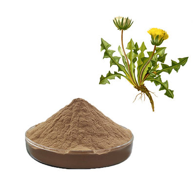 10:1 Bulk Taraxacum Mongolicum Dandelion Herb Root Leaf Extract Powder