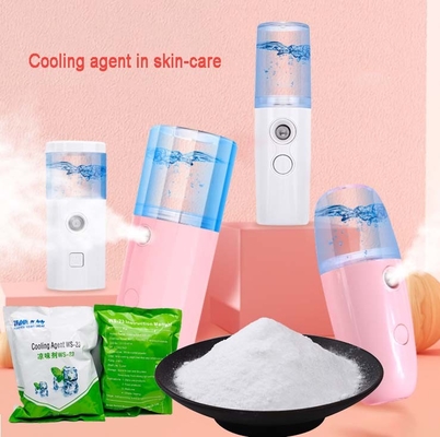 Mint Candy Food Additive Cooling Agent Powder WS-23