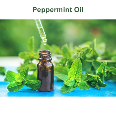 Colorless Leaves CAS 8006-90-4 Peppermint Essential Oil