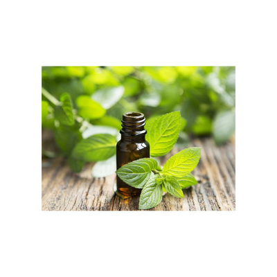 Colorless Leaves CAS 8006-90-4 Peppermint Essential Oil