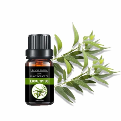 Pure natuurlijke eucalyptusblaad extract eucalyptus essentiële olie