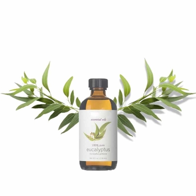Pure natuurlijke eucalyptusblaad extract eucalyptus essentiële olie