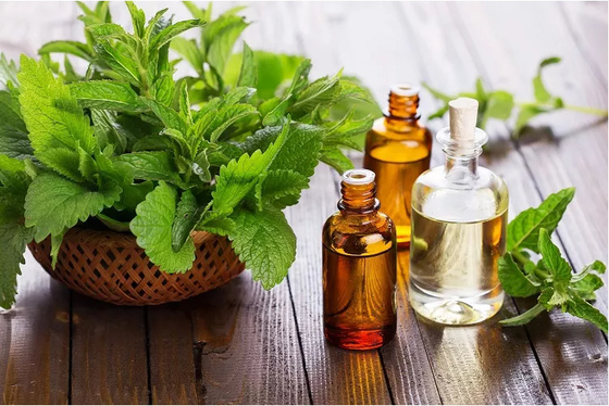 100% natuurlijke biologische pepermunt-extract, essentiële munt-olie 30 ml