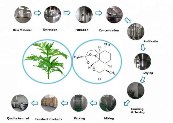 Pure Organische Artemisia Annua Extract 99% Zuiverheid CAS 63968-64-9 0